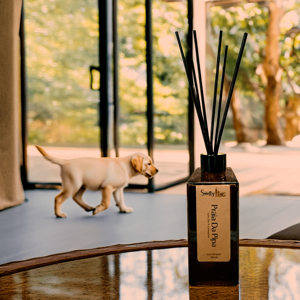 Praia Da Pipa - Reed Diffuser